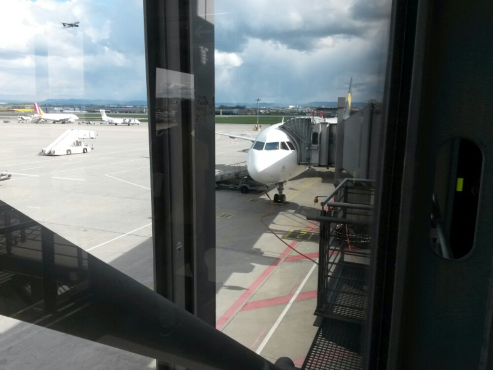 wp-1461509959382 image