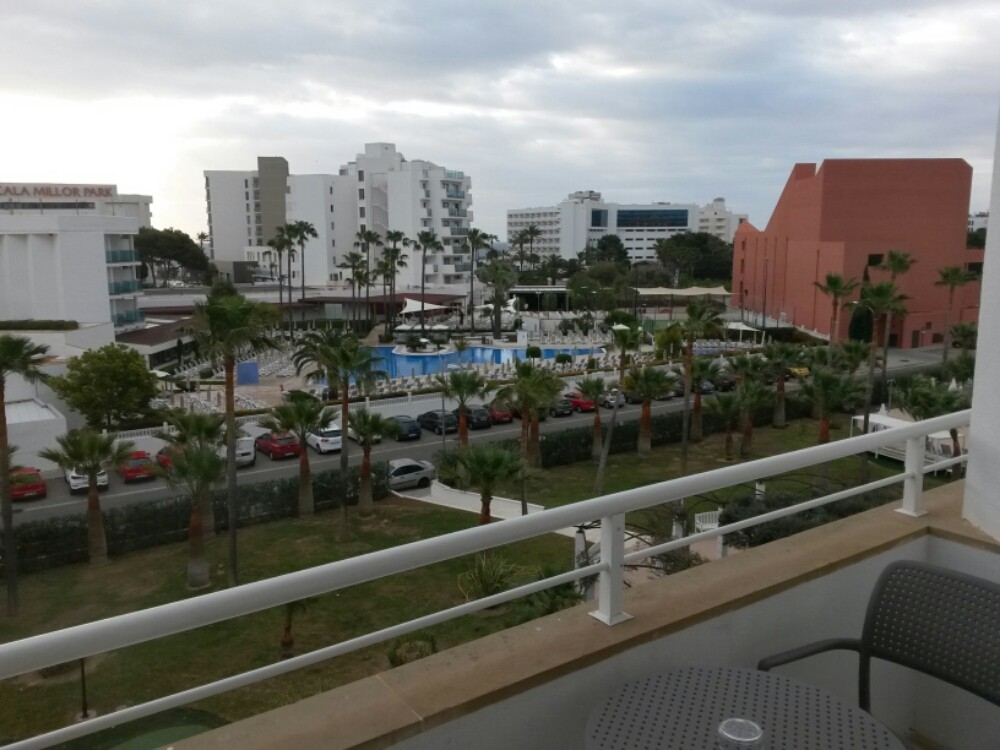 wp-1461566582107 image