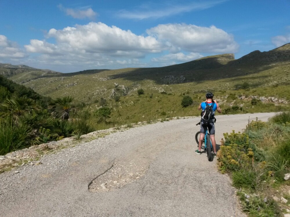 wp-1461686002944 image