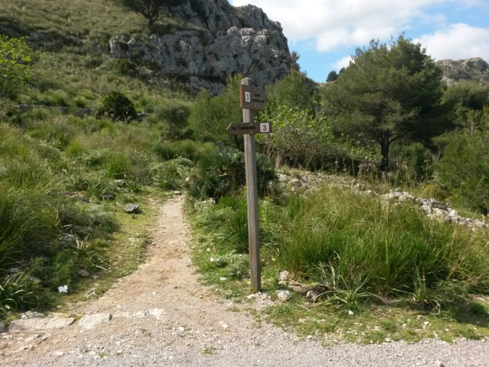 wp-1461686018878 image