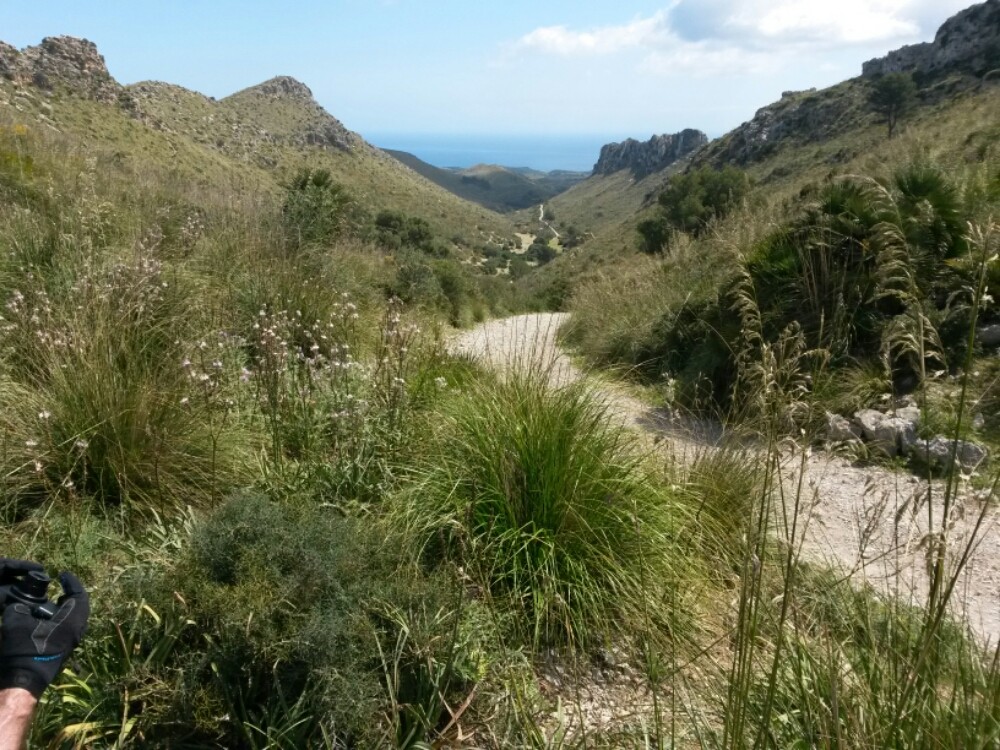 wp-1461686041355 image