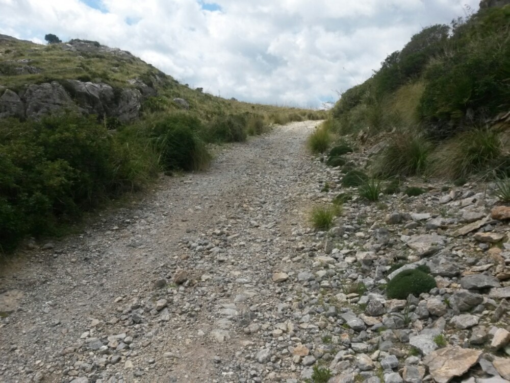 wp-1461686095571 image