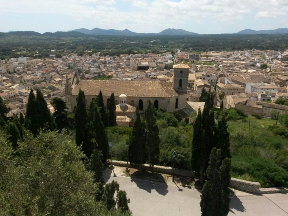 wp-1461686182332 image