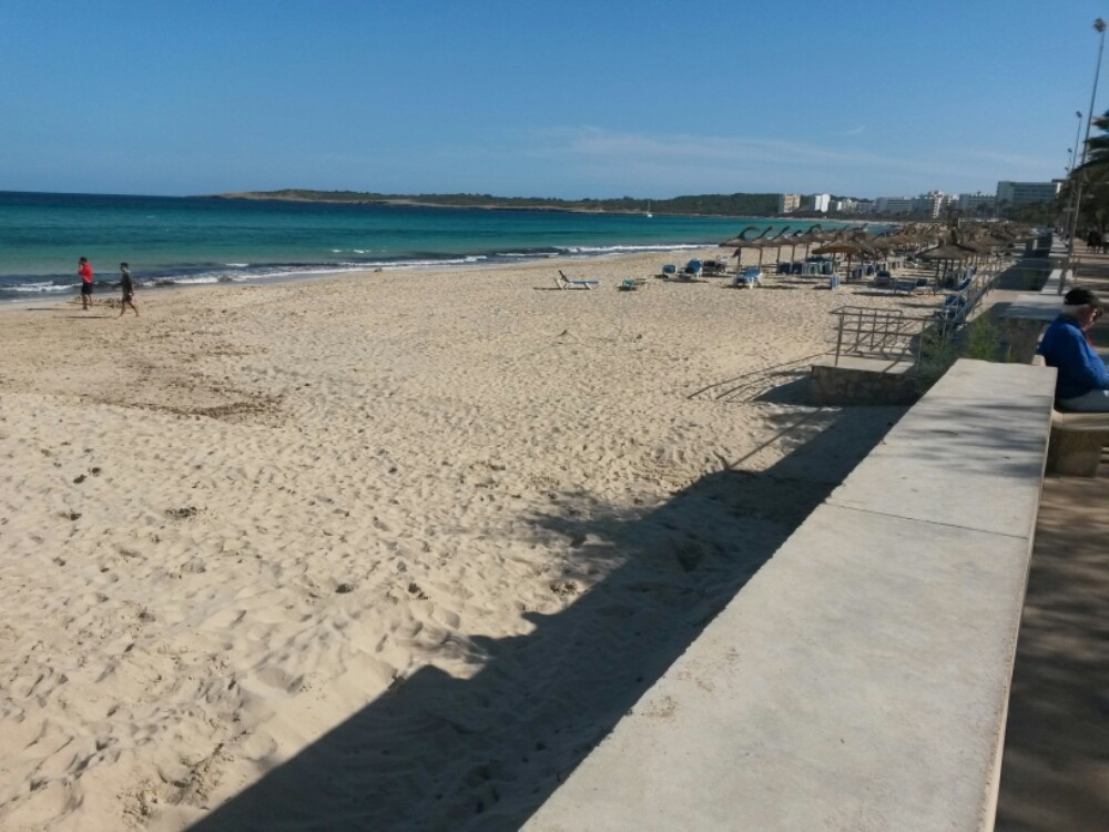 wp-1461689048398 image