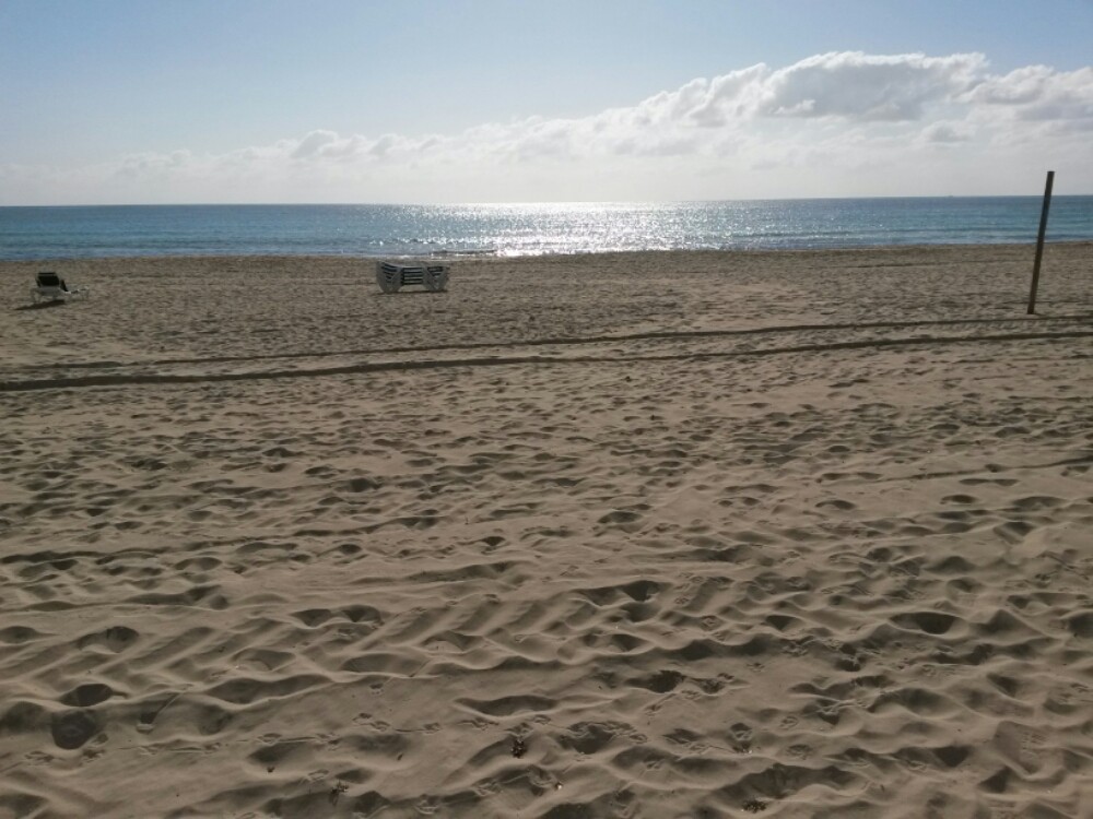 wp-1461689103442 image