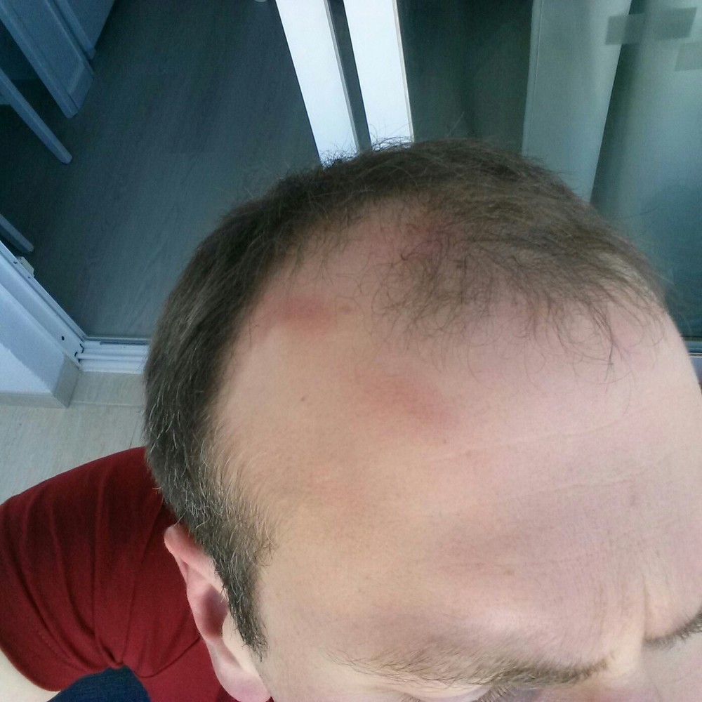 wp-1461689149751 image