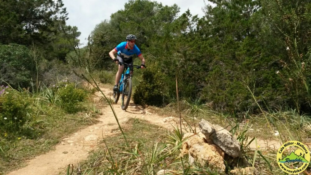 wp-1461697943638 image