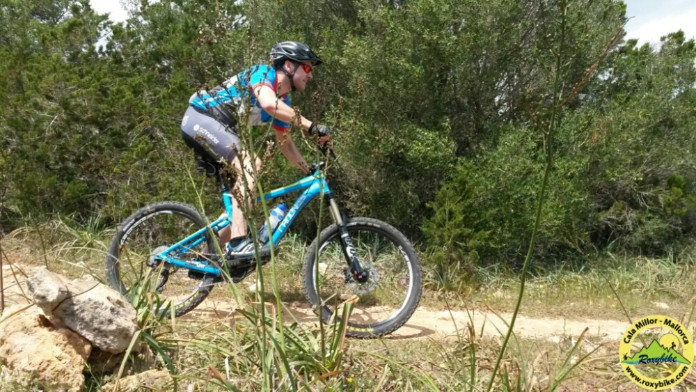 wp-1461697948902 image